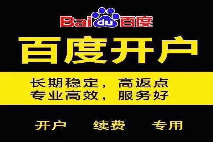 百度SEO推广公司案例解析：揭秘关键词优化技巧